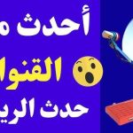 تحميل ملف قنوات نايل سات 2026 usb عربي لجميع الرسيفرات