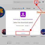 saveinsta