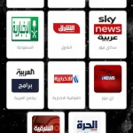 Saif TV